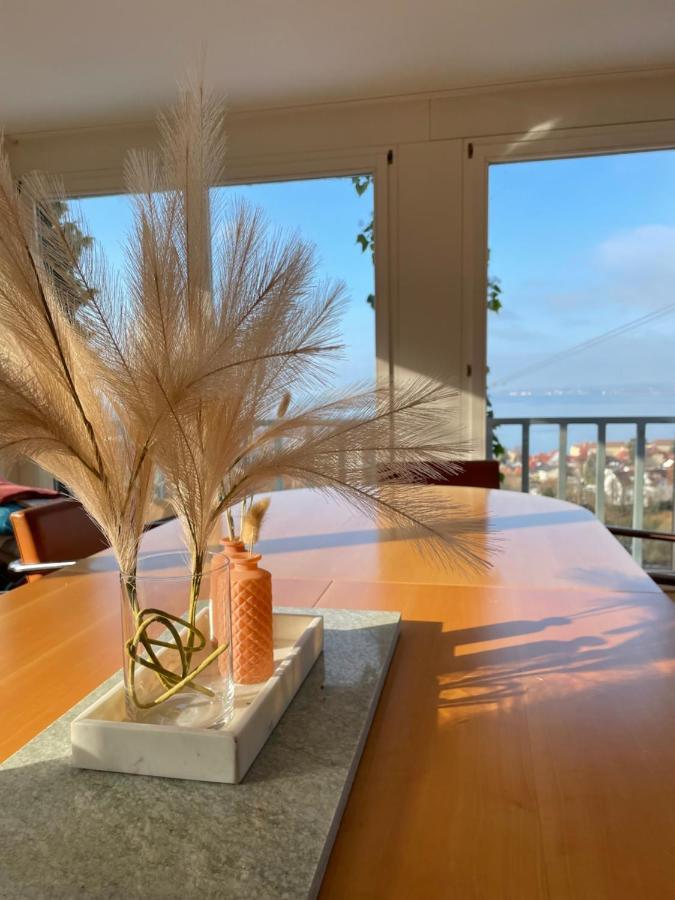 Villa mit traumhaftem Blick über den Bodensee Bregenz Exterior foto